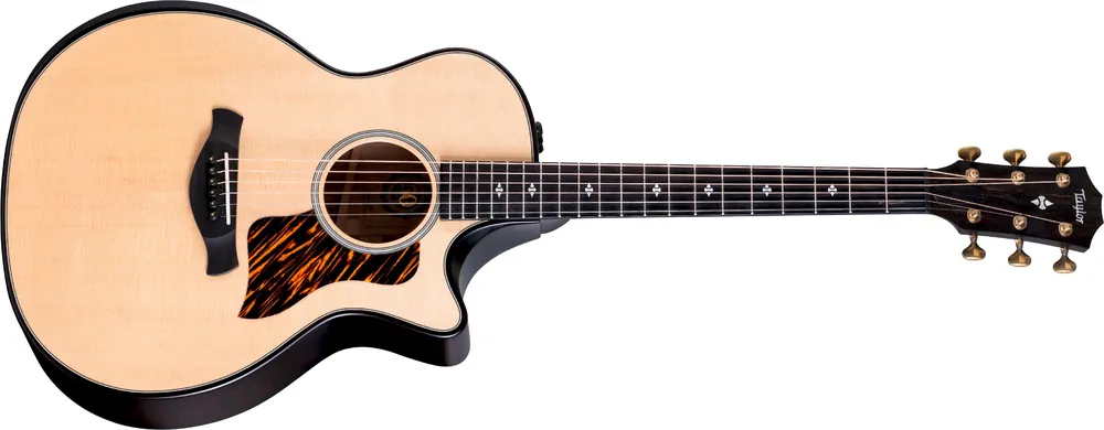 Taylor 314ce Builder’s Edition LTD Natural Top Must-Have