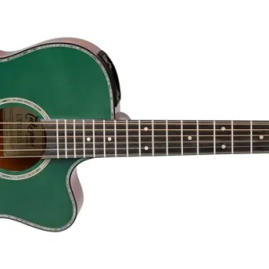 Neue Ware Takamine Limited 2025
