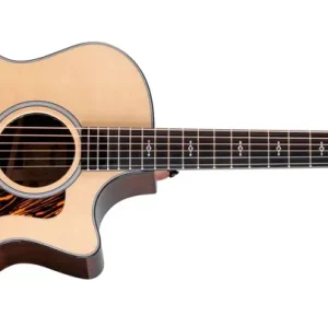 Neue Kollektion Taylor 414ce Grand Auditorium Next Generation Fichte/Palisander