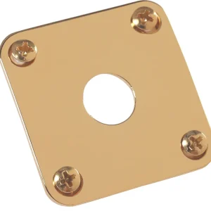 Gibson Buchsenblech Gold PRJP-020 Super-Preis