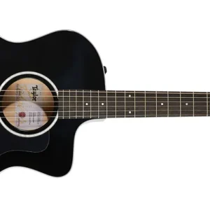 Sichere Zahlung Taylor 214ce Plus Black