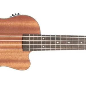 Preiswert Kala U-Bass Journeyman Fretted Natural