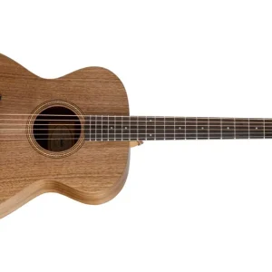 Jetzt Kaufen Taylor Academy Series 22e