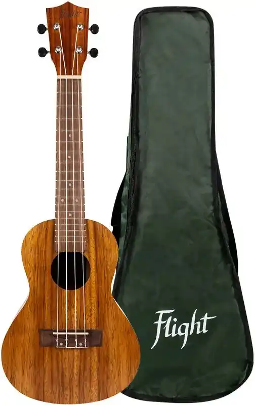 Direkt Vom Hersteller Flight NUC 200 Concert