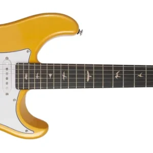Top-Seller PRS SE Silver Sky Gold Spark Limited Edition