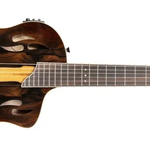 Ortega RTP-LTD TourPlayer Series Neue Ware