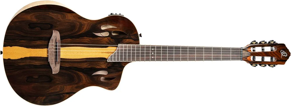 Ortega RTP-LTD TourPlayer Series Neue Ware
