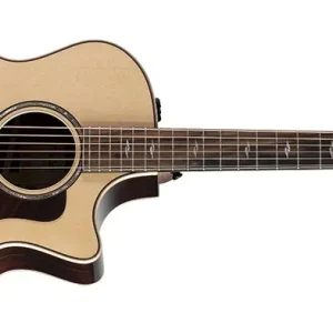 Mega-Angebot Taylor 814ce