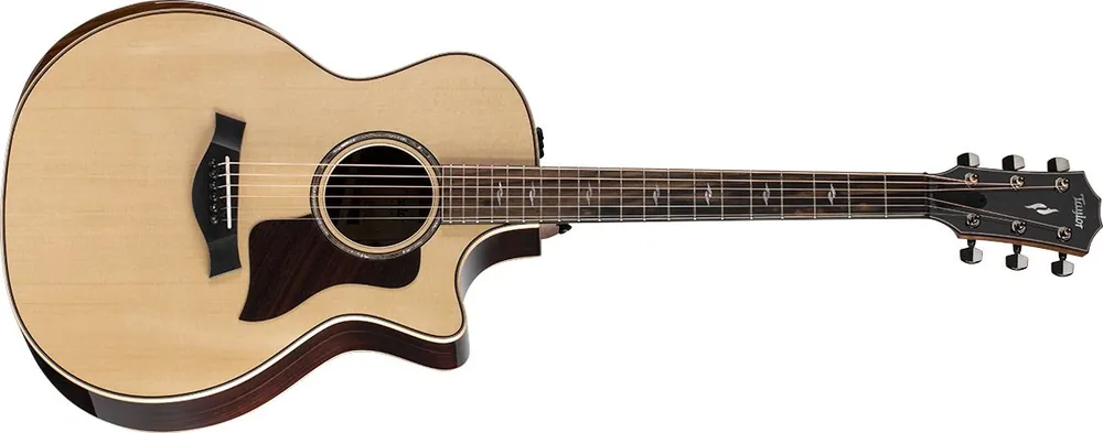 Mega-Angebot Taylor 814ce