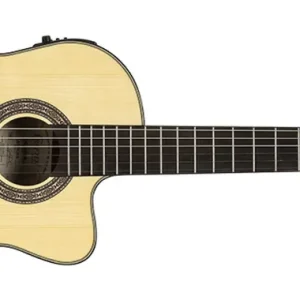 Beliebt Crafter HC250-CE-N