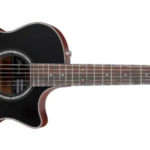 Günstig Ibanez AE300FBJR-BOP