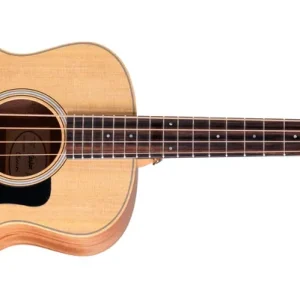 Preis Gesenkt Taylor GS Mini-e Bass