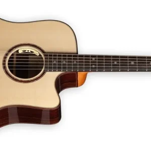 Schnäppchen Lakewood D-32 CP