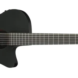 Ibanez AEG1221-BOT Black Out Abverkauf