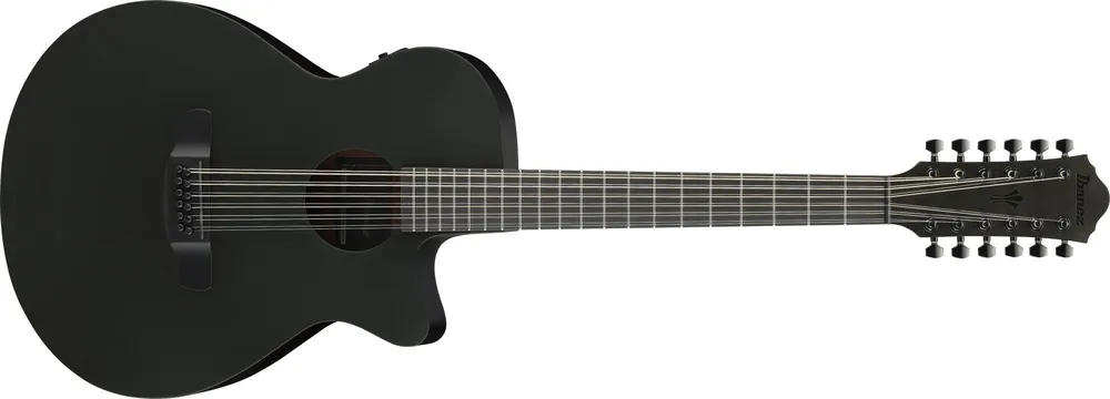 Ibanez AEG1221-BOT Black Out Abverkauf
