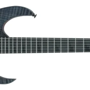 Schneller Versand Ibanez GRGR 221FA-TDK
