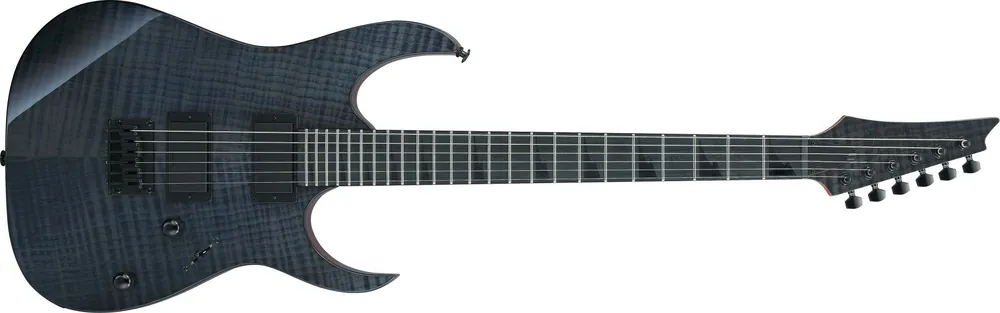 Schneller Versand Ibanez GRGR 221FA-TDK