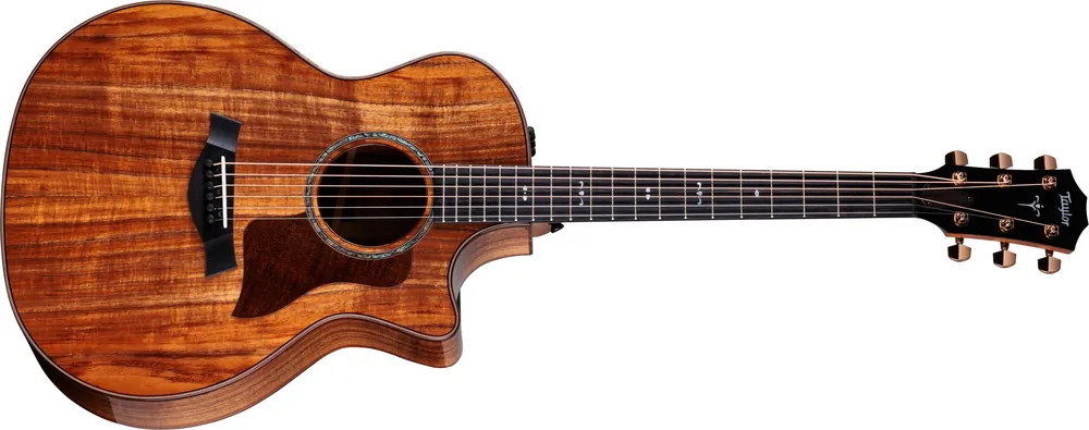 Finale Aktion Taylor 724ce Koa