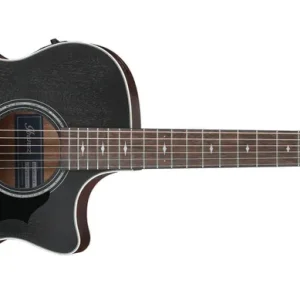 Ibanez AE140-WKH Markenware