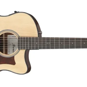 Preiswert Ibanez AAM50CE-OPN