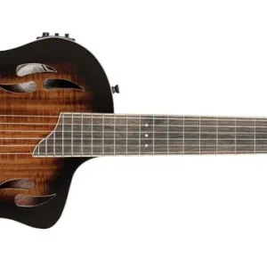 Zertifiziert Ortega RTPDLX-ACA