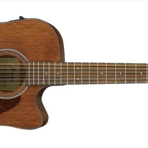 Direktkauf Ibanez AW 5412 CE OPN