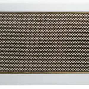 Positive Grid Spark 40 PW Kostenloser Rückversand