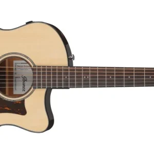Ibanez AAM300CE-NT Abverkauf