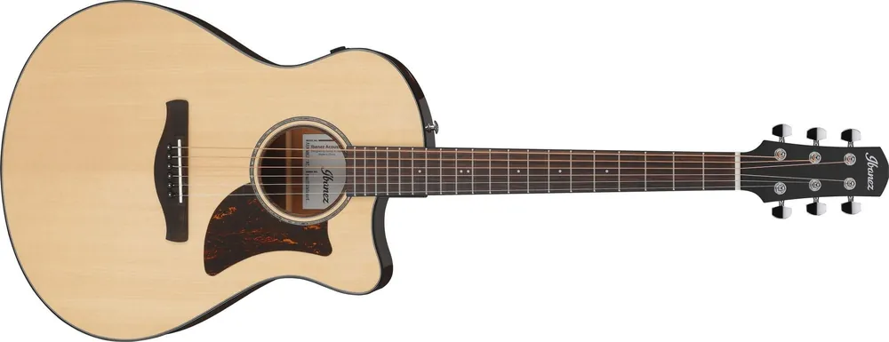 Ibanez AAM300CE-NT Abverkauf