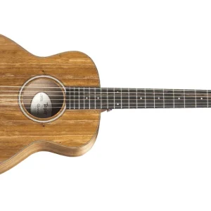 Direkt Vom Hersteller Taylor GS Mini-e Koa