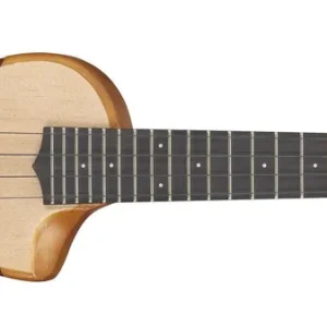 Preisknaller Ibanez AUC10E-OPN