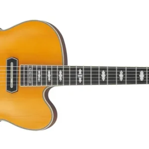 Geprüft Ibanez PM 3C-NAL Pat Metheny Signature Natural