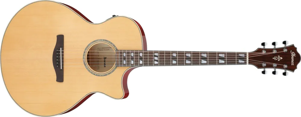 Kostenloser Versand Ibanez AE 170-NTR