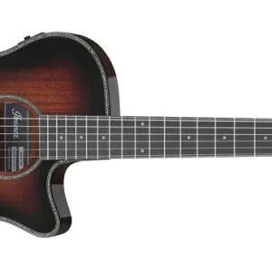 Ibanez AEG74N-MHS Top-Preis