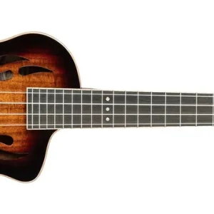 Top-Preis Ortega TourPlayer RTPX-U-ACA