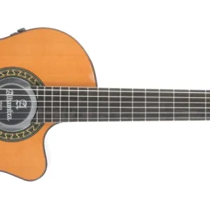 Aktuell Alhambra 5P CW E8 Fishman