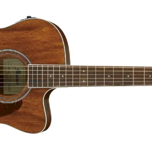 Preiswert Ibanez AC 340CE OPN
