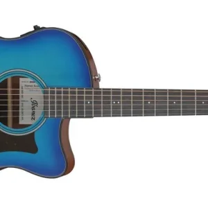 Expressversand Ibanez AAM50CE-SBO