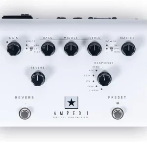Online Kaufen Blackstar Dept. 10 Amped 1