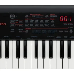 Yamaha PSS-A50 Echt