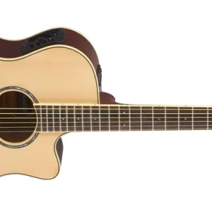 Gratis Versand Yamaha APX 600 Natural