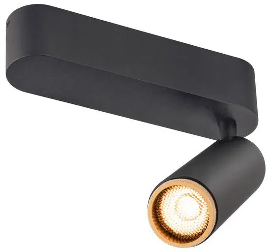 Echt SLV GRIP! M, Deckenaufbauleuchte, single, PHASE, 2700 K, 14 W, 42°, schwarz / gold