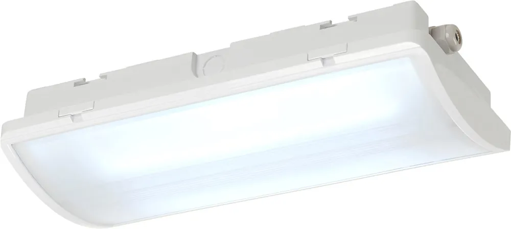 Jetzt Kaufen SLV P-LIGHT Deckenleuchte, LED, 6000K, IP65, rechteckig, weiß, 6,5W