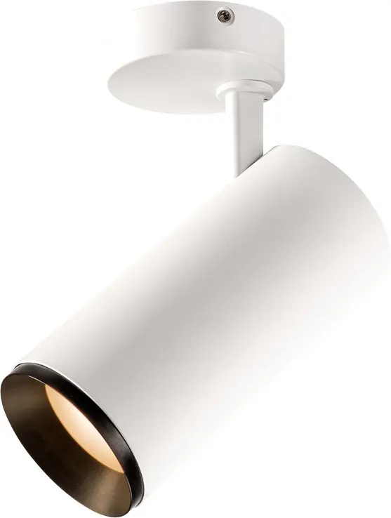 SLV NUMINOS® SPOT DALI L, Indoor LED Deckenaufbauleuchte weiß/schwarz 2700K 36° Online Kaufen