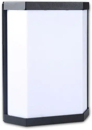 Sonderaktion ISOLED Wandleuchte 2xE27 T45, IP54, anthrazit, exkl. Leuchtmittel