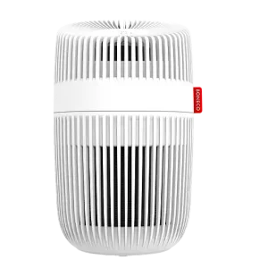 Gratis Versand Boneco P130 Luftreiniger