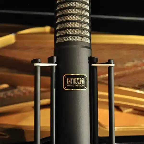 Preiswert HUM AUDIO ARM-1S