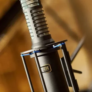HUM AUDIO RS-2 Kostenfreie Lieferung