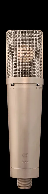 Peluso P87 - '87 Style Microphone Saisonangebot