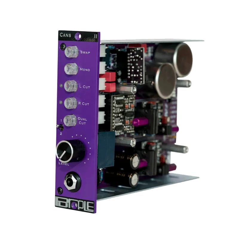 Wochenendangebot Puple Audio Cans II